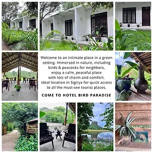  Hotel Bird Paradise Sri Lanka